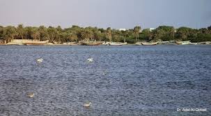 images (2)