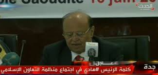 هادي