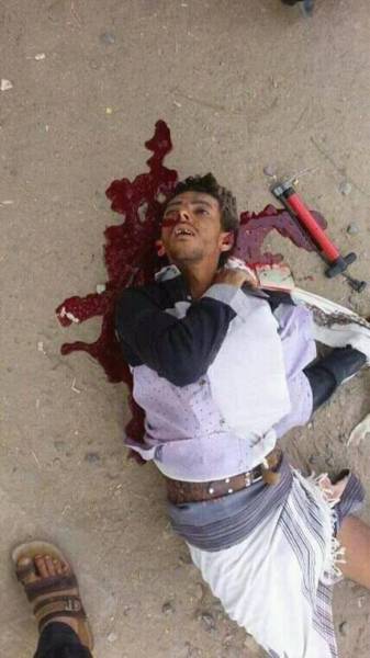 15232231_1196487910436974_8373077055661202891_n